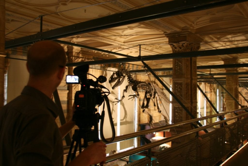 filming dinosaurs